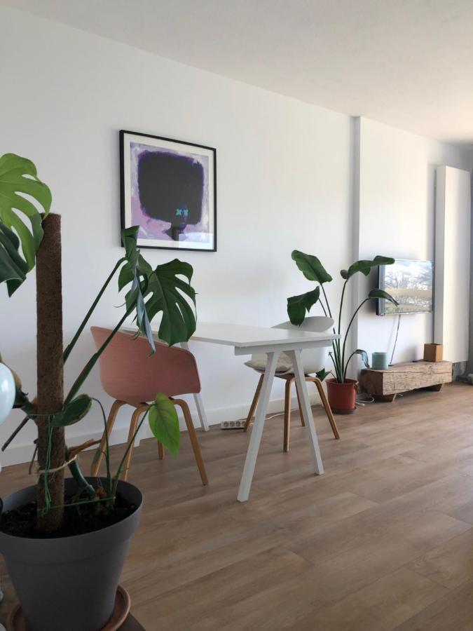 Appartement Biarritz Sud 外观 照片